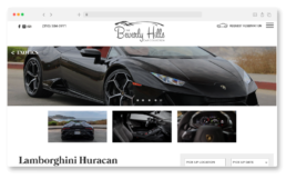 Beverly Hills Car Collection Website Design: Car Page