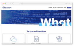 Encentric: What We Do Web Page