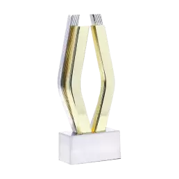 2022 Viddy Gold Award